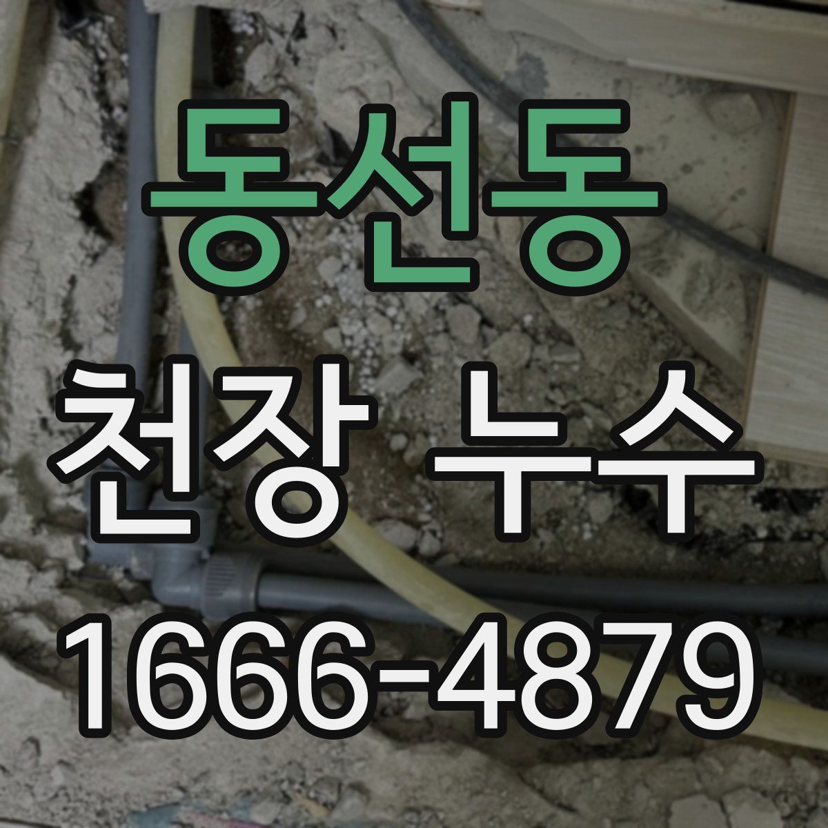 동선동 천장 누수