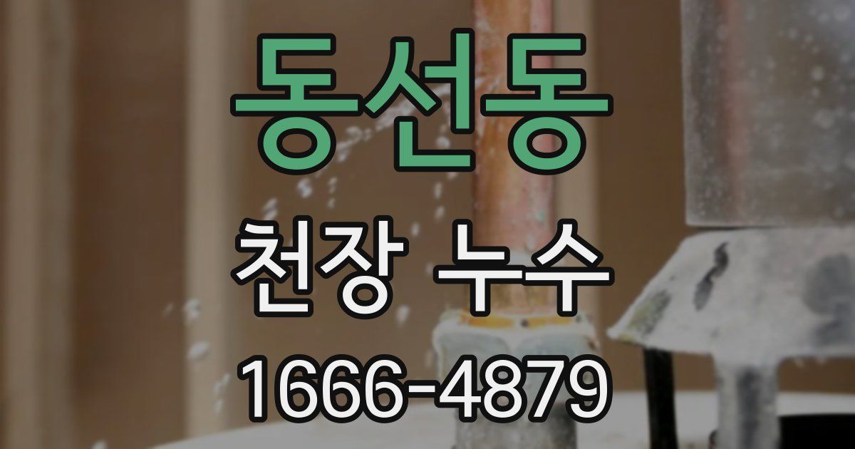 동선동 천장 누수