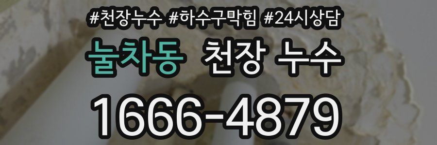 눌차동 천장 누수