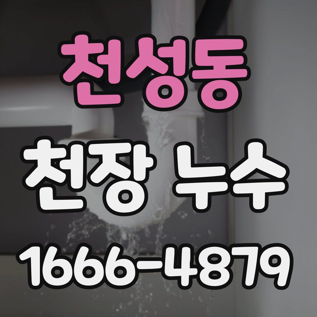 천성동 천장 누수