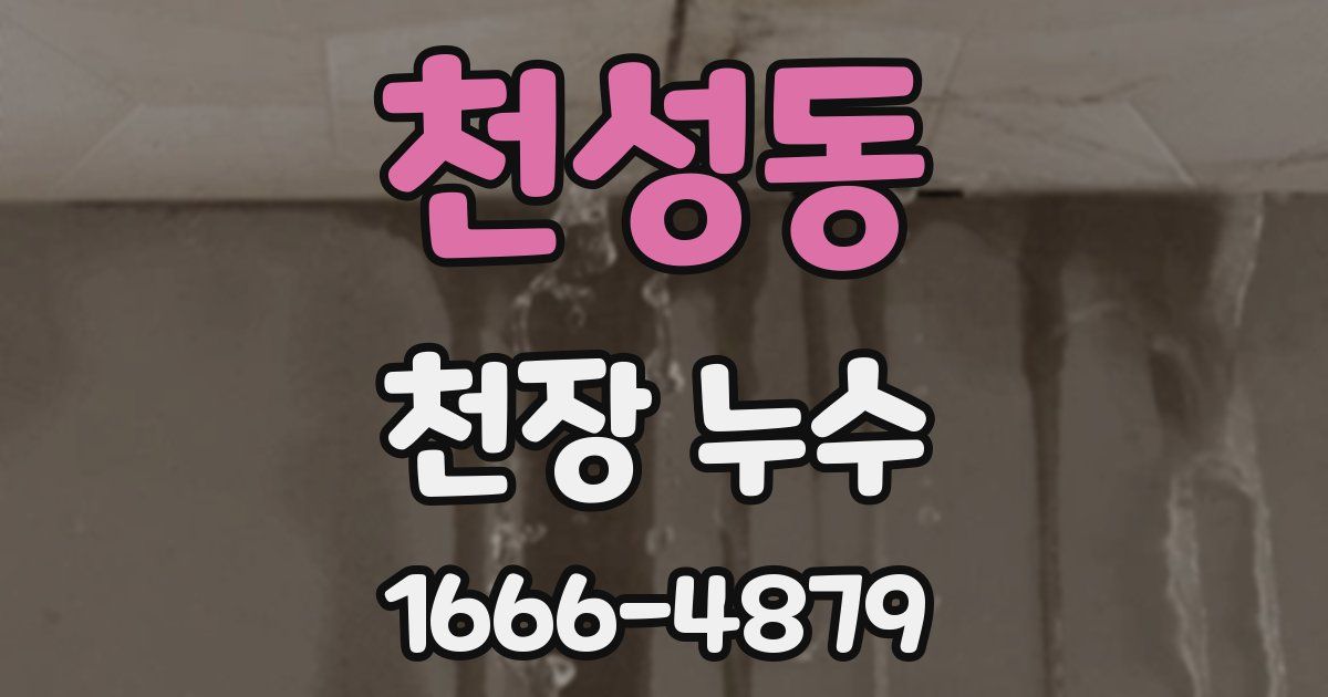 천성동 천장 누수