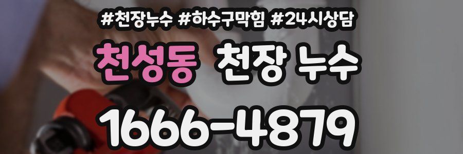 천성동 천장 누수