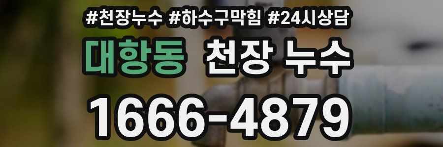 대항동 천장 누수