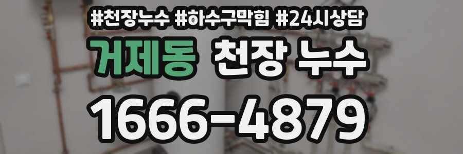 거제동 천장 누수