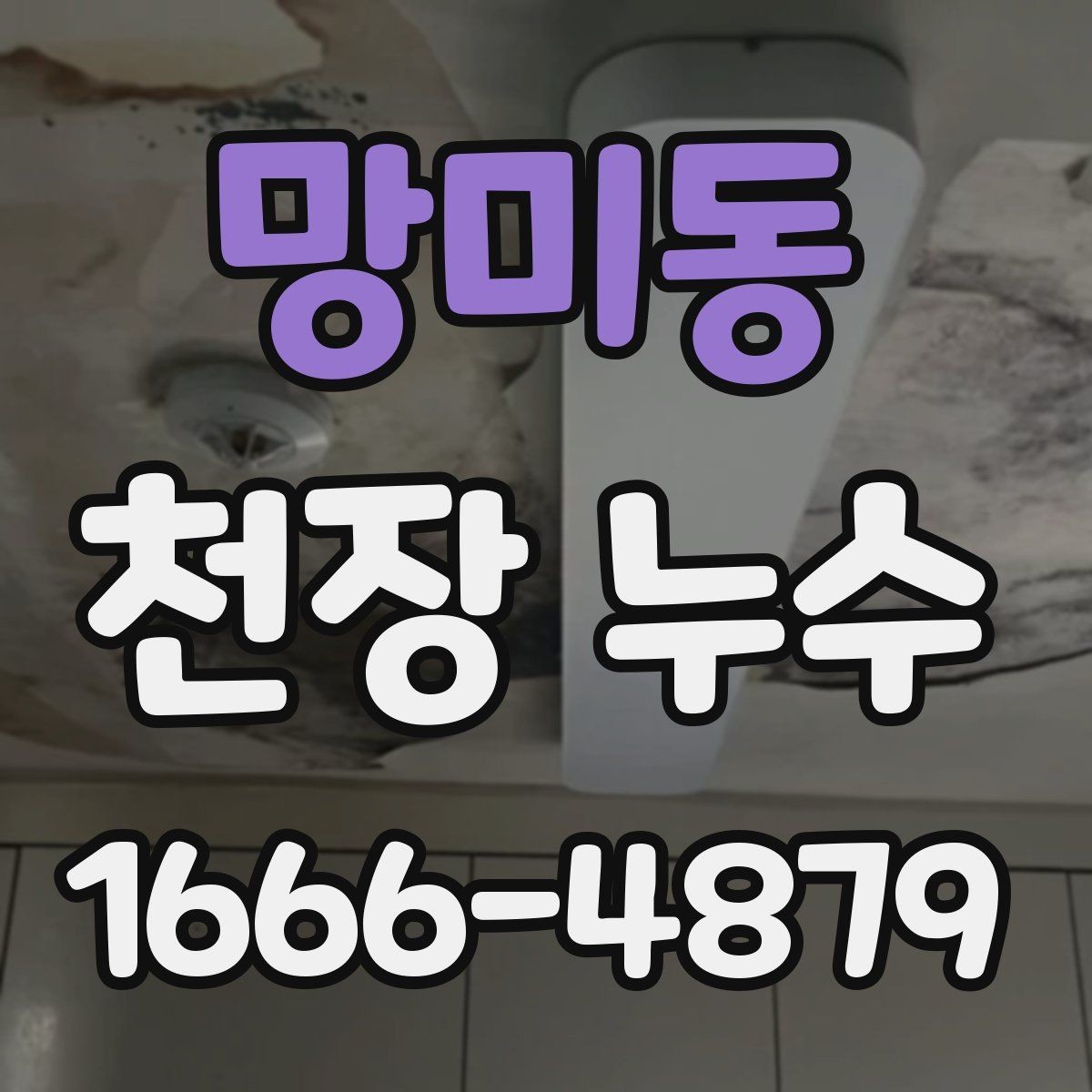 망미동 천장 누수 천장 석고가 가루처럼 떨어지면 위험합니다