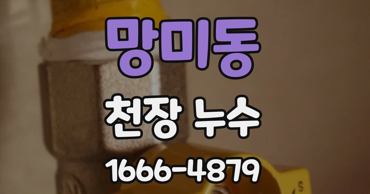 망미동 천장 누수