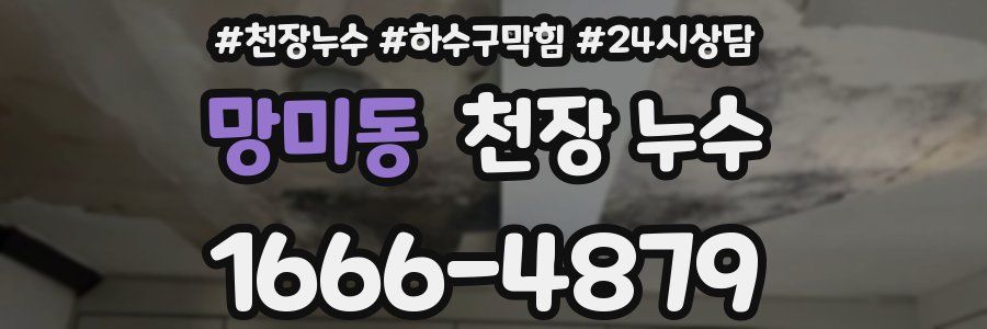 망미동 천장 누수