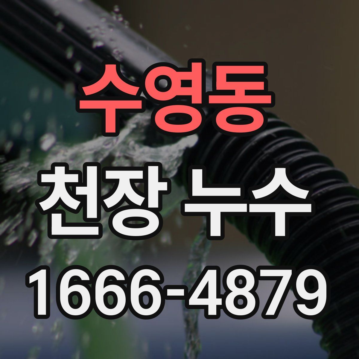 수영동 천장 누수