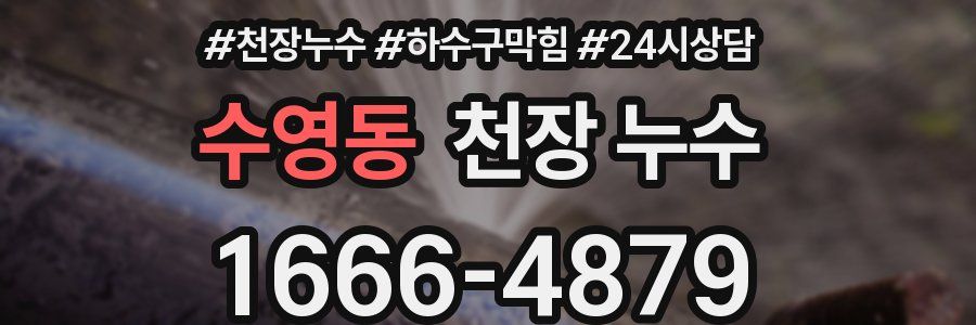 수영동 천장 누수