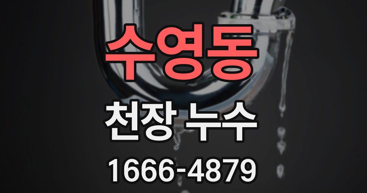 수영동 천장 누수