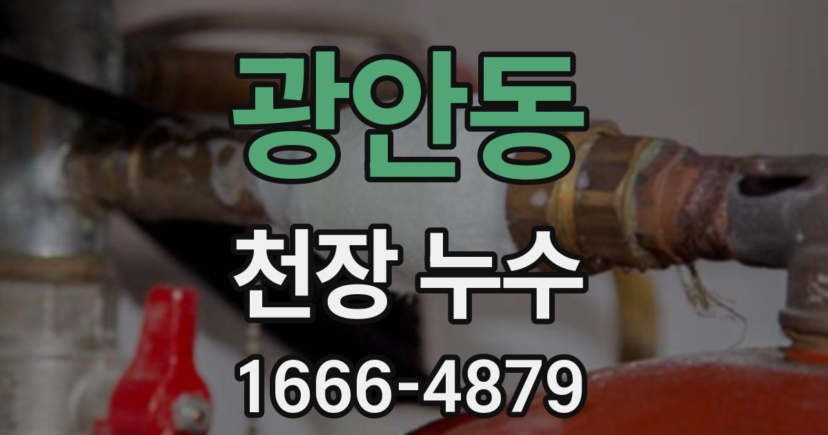 광안동 천장 누수