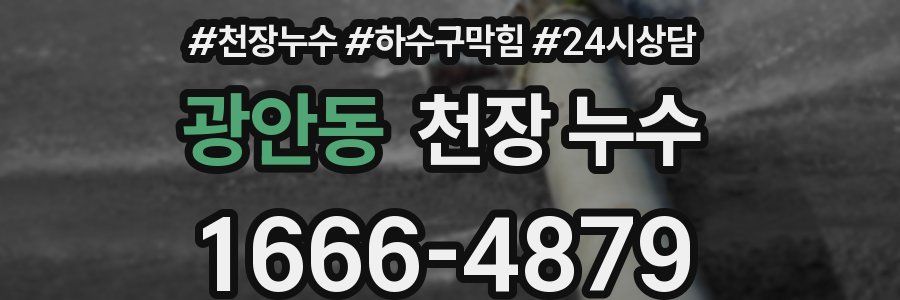 광안동 천장 누수