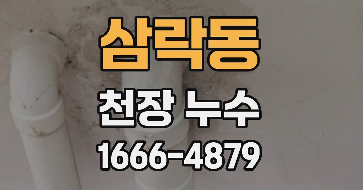 삼락동 천장 누수