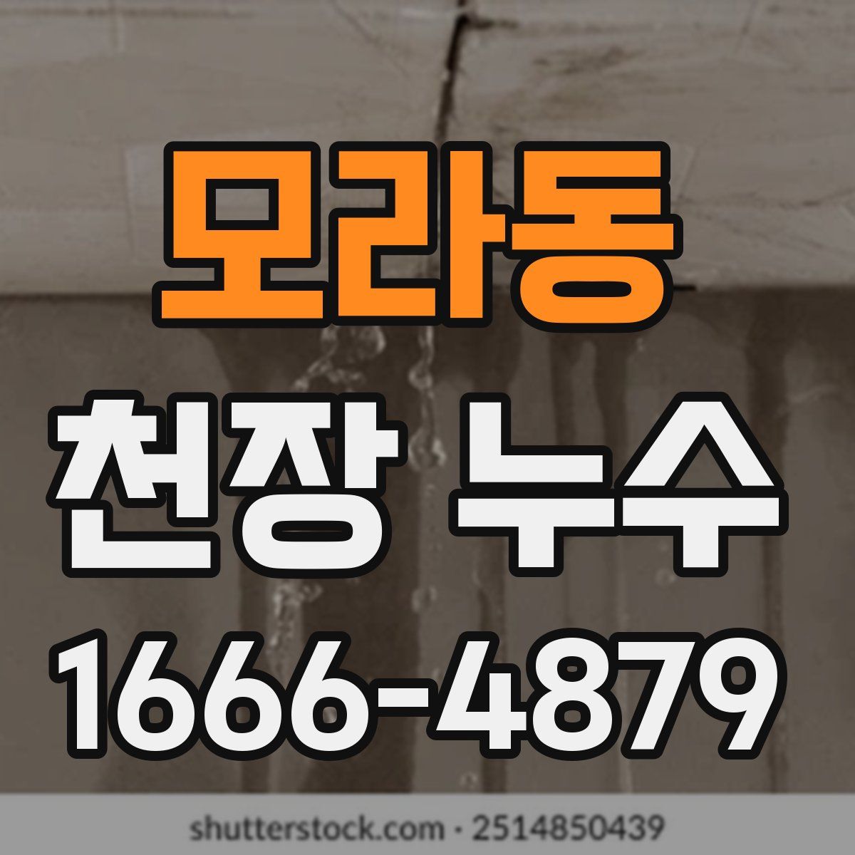 모라동 천장 누수