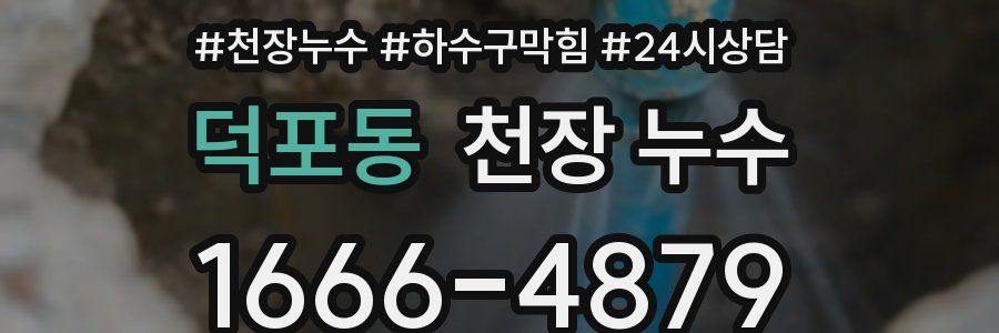 덕포동 천장 누수