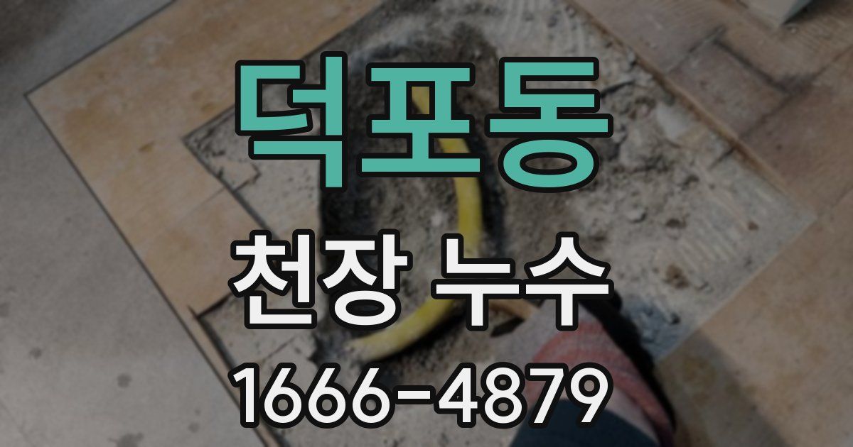 덕포동 천장 누수