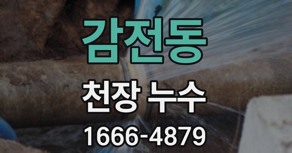 감전동 천장 누수