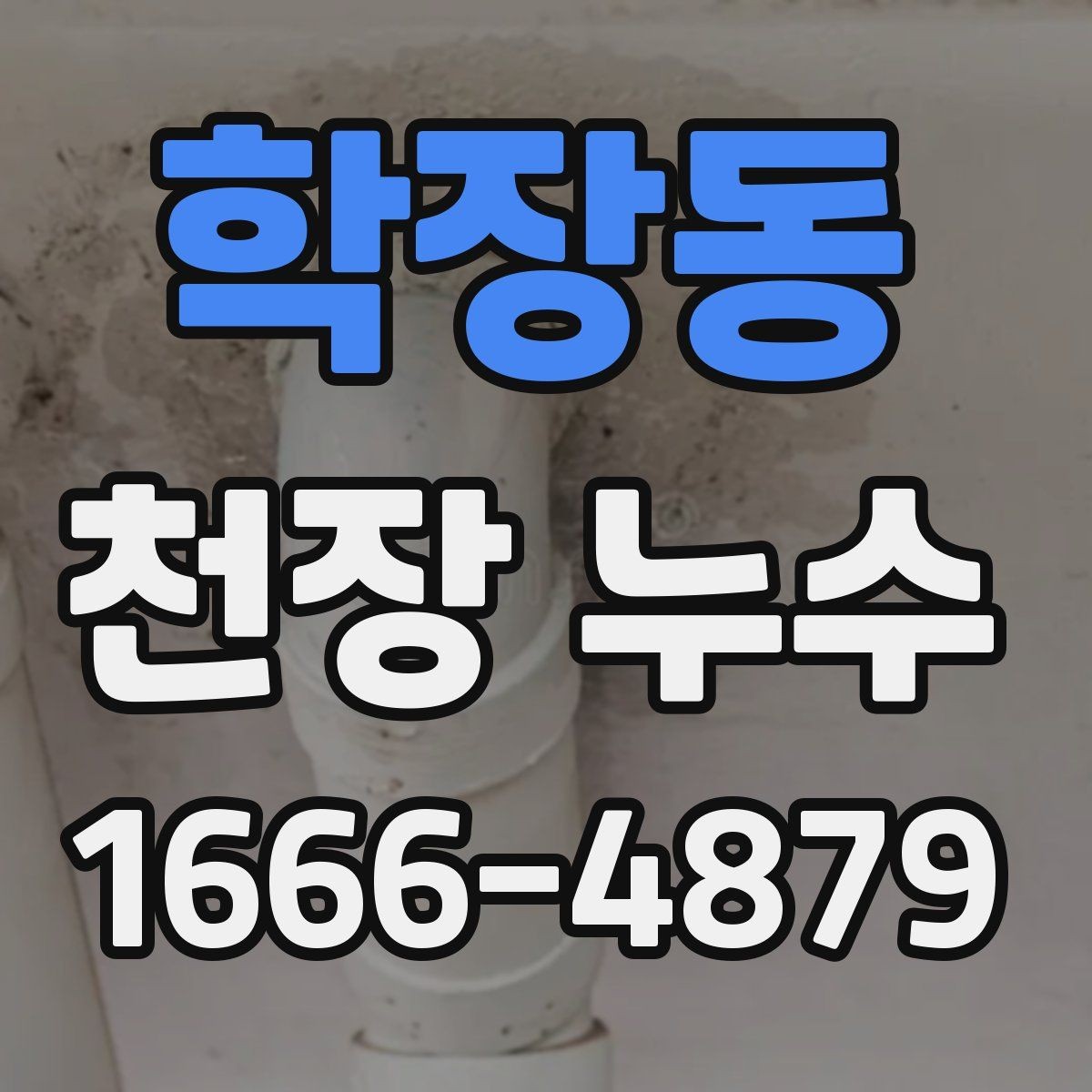 학장동 천장 누수 원인을 정확히 찾는 것이 먼저입니다