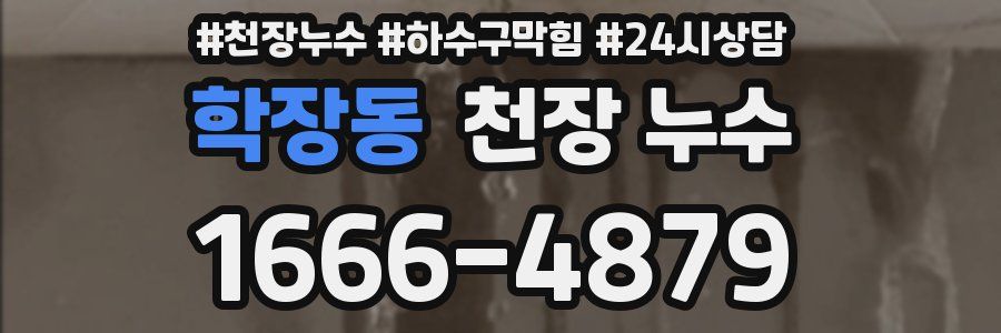 학장동 천장 누수