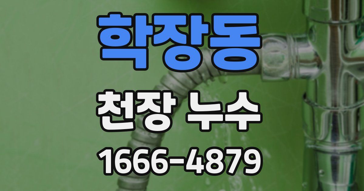 학장동 천장 누수