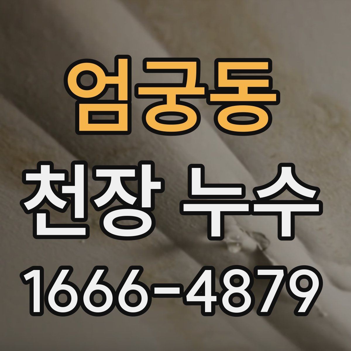 엄궁동 천장 누수 천장 위에서 뚝뚝 소리가 날 때 확인할 것
