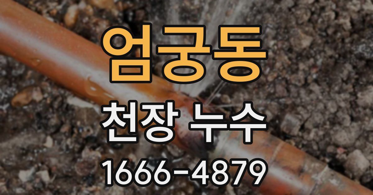 엄궁동 천장 누수