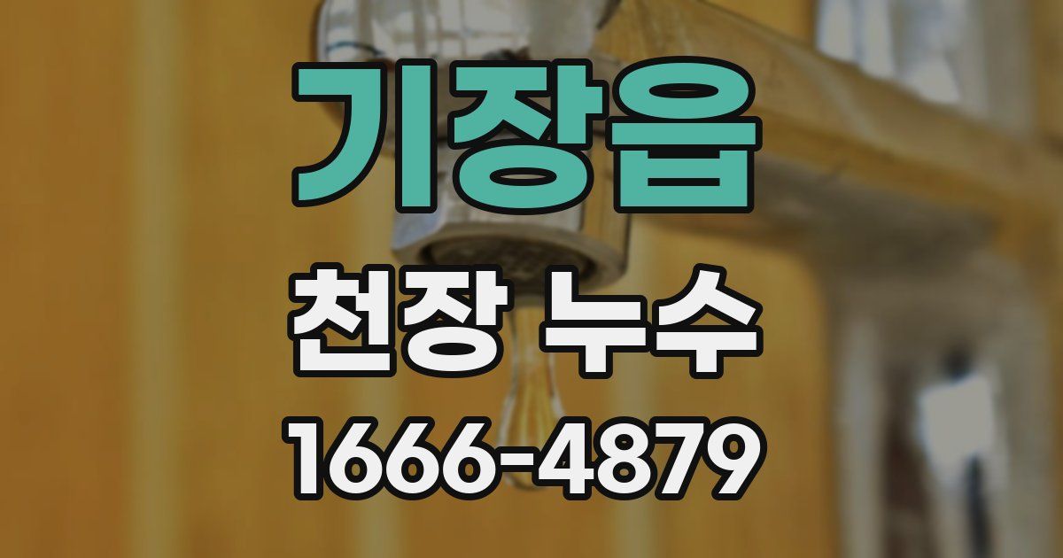 기장읍 천장 누수