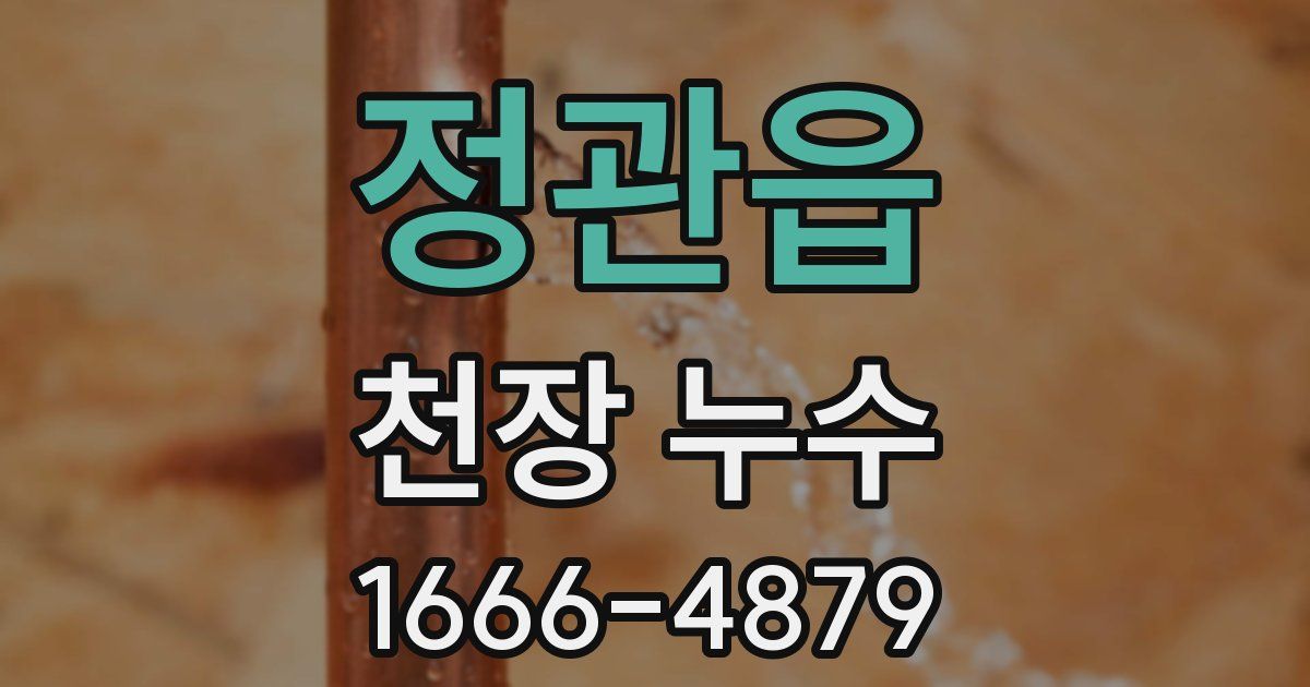 정관읍 천장 누수