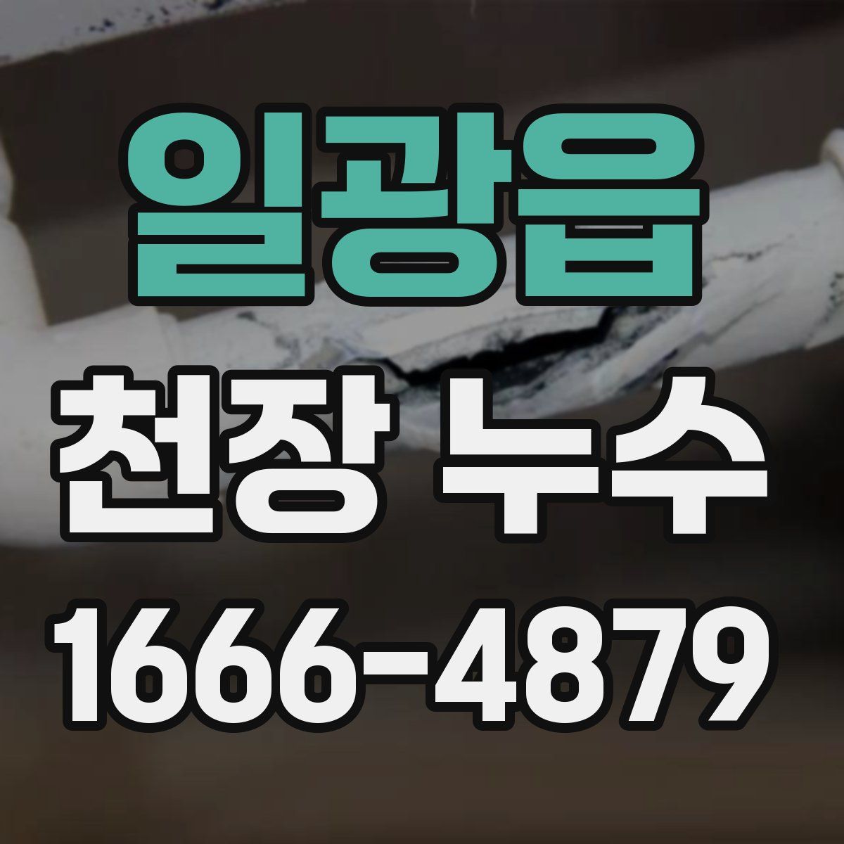 일광읍 천장 누수