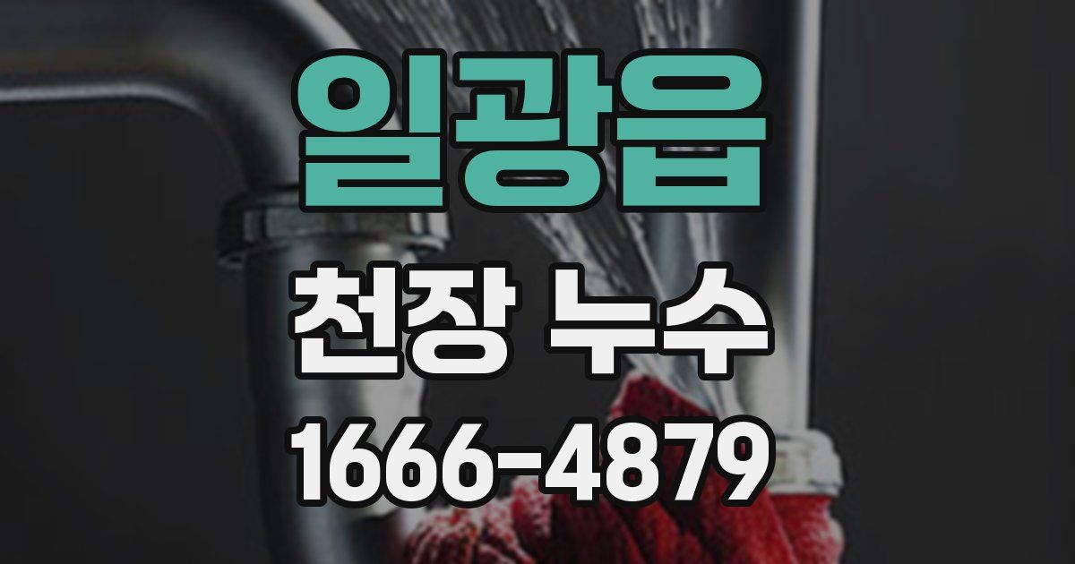 일광읍 천장 누수