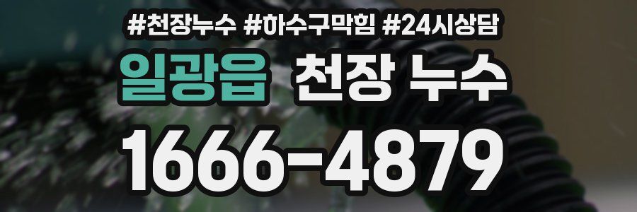 일광읍 천장 누수