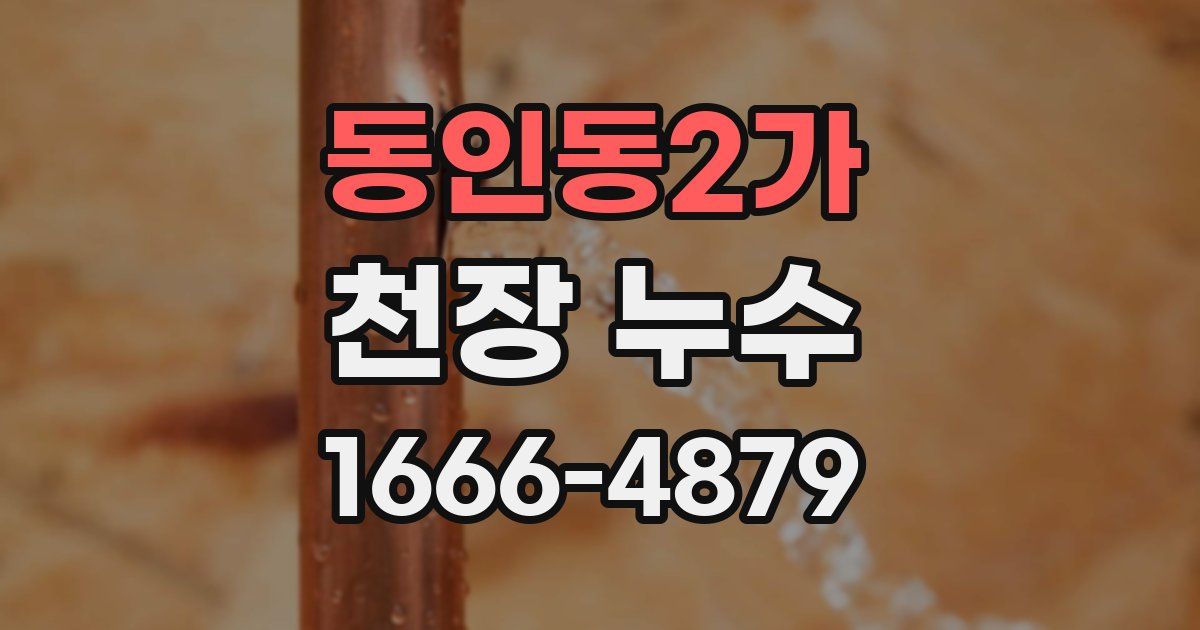 동인동2가 천장 누수