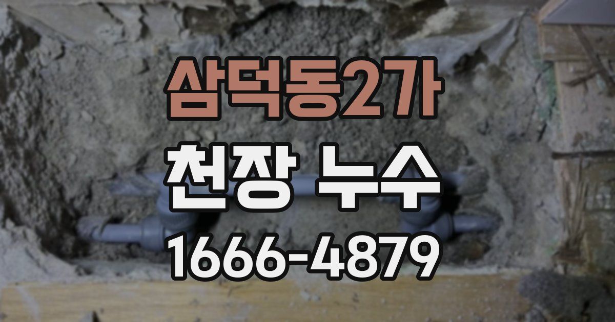 삼덕동2가 천장 누수