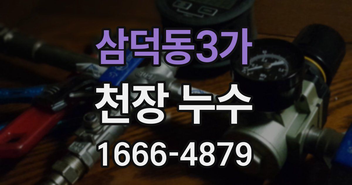 삼덕동3가 천장 누수