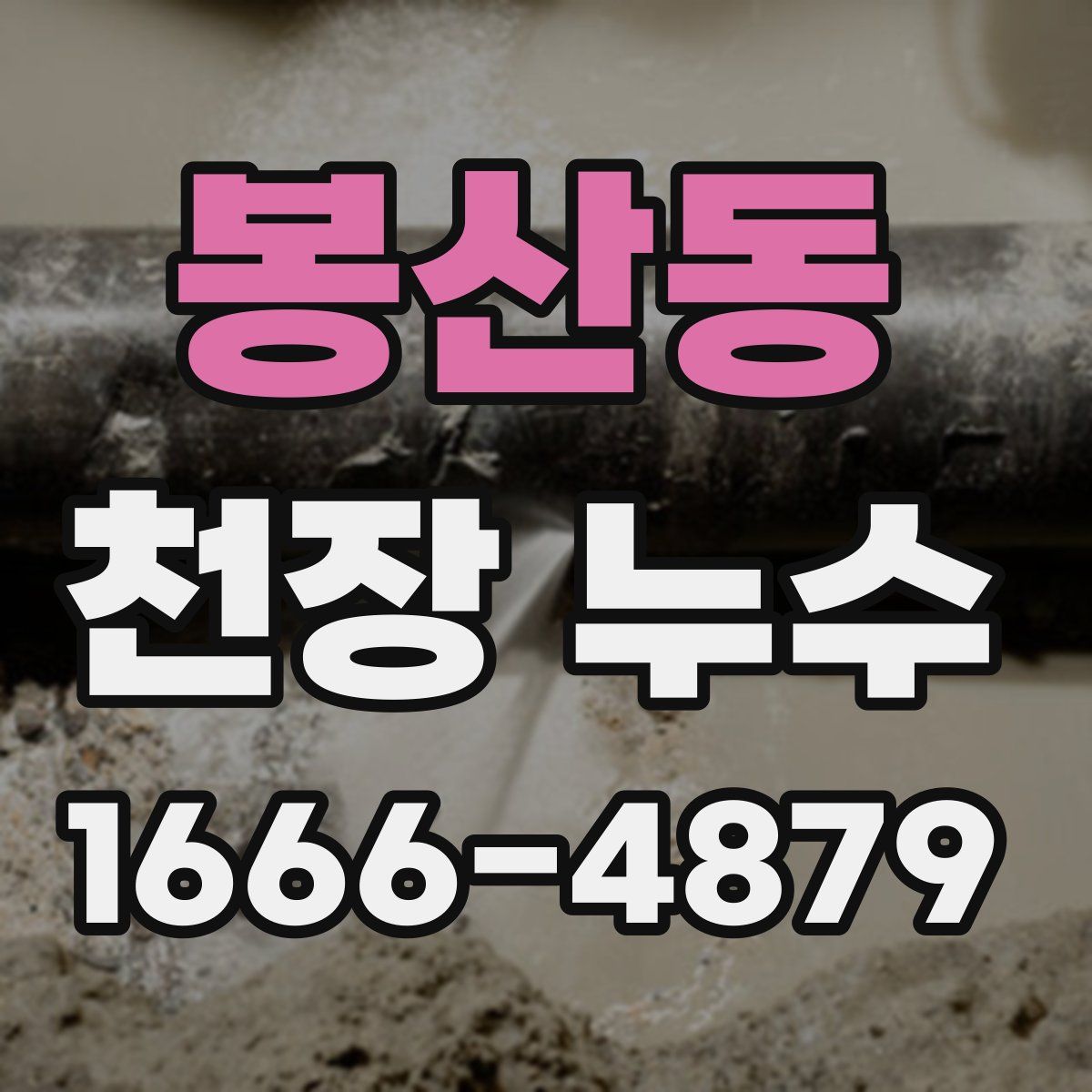 봉산동 천장 누수