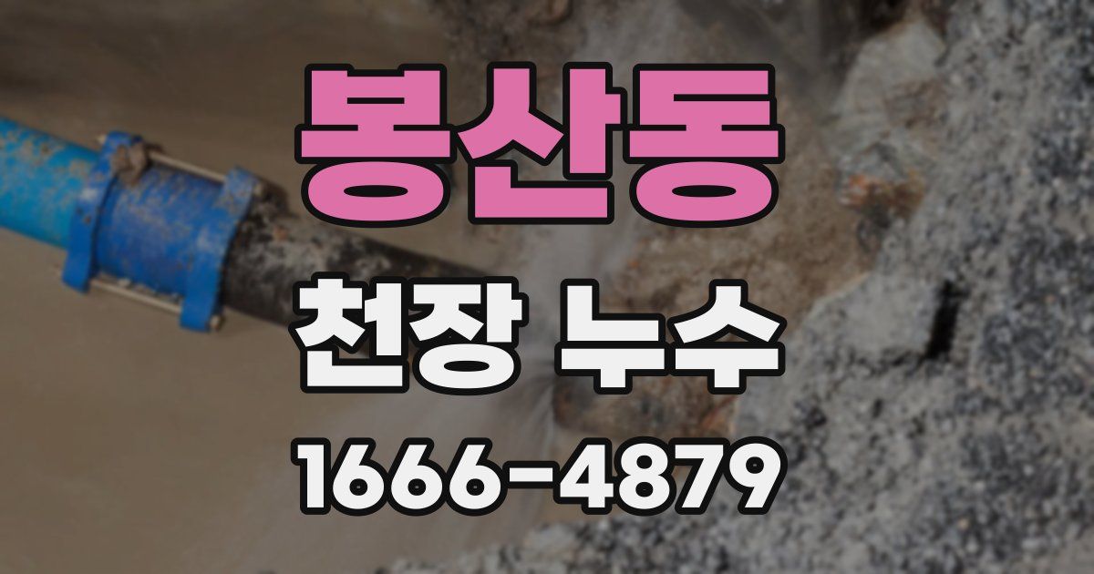 봉산동 천장 누수