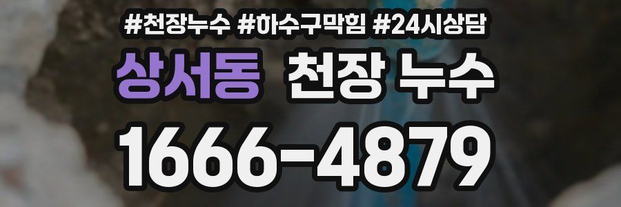 상서동 천장 누수