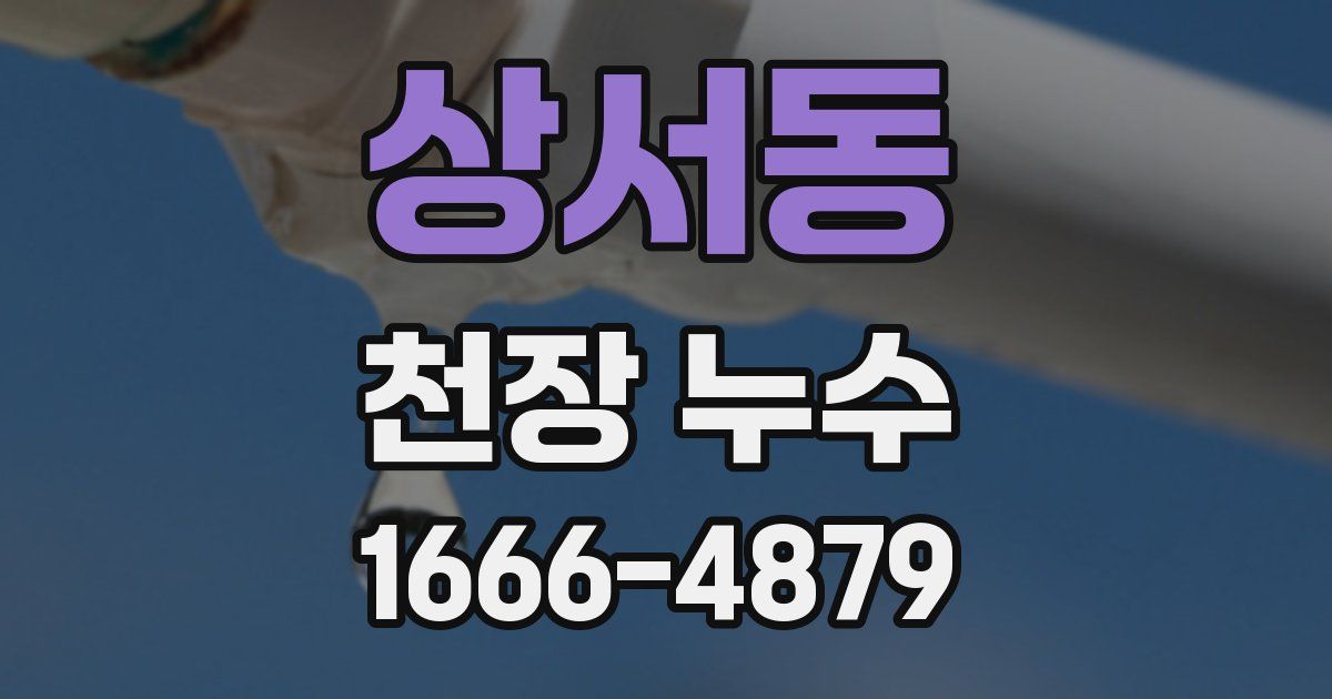 상서동 천장 누수