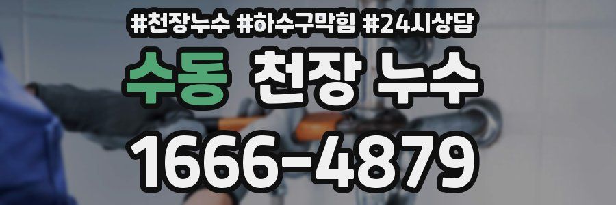 수동 천장 누수