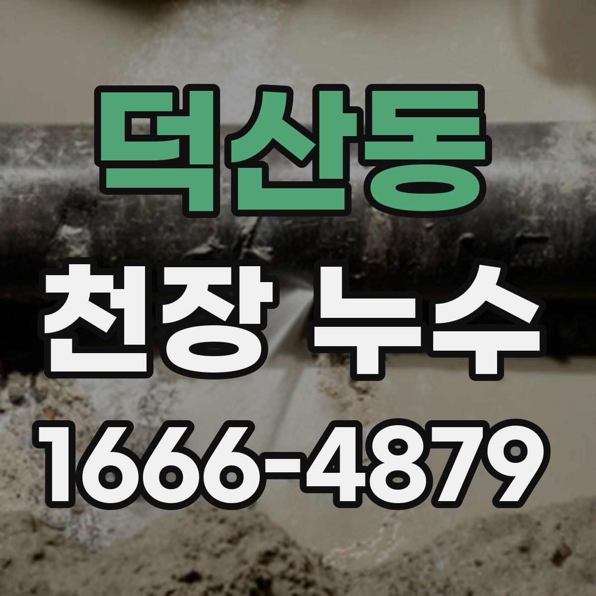 덕산동 천장 누수