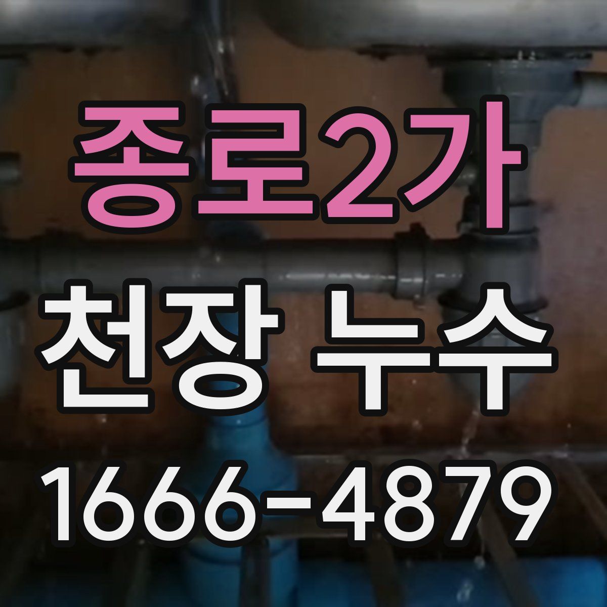 종로2가 천장 누수