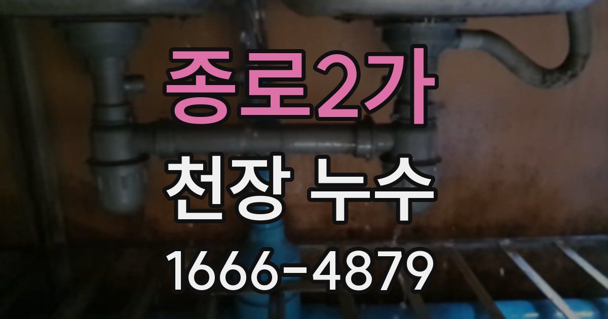 종로2가 천장 누수