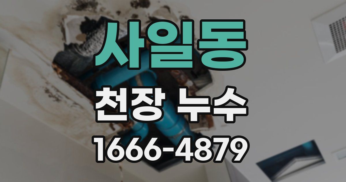 사일동 천장 누수