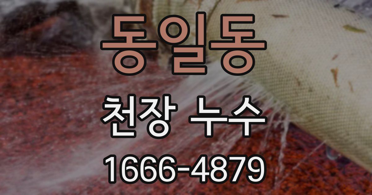 동일동 천장 누수