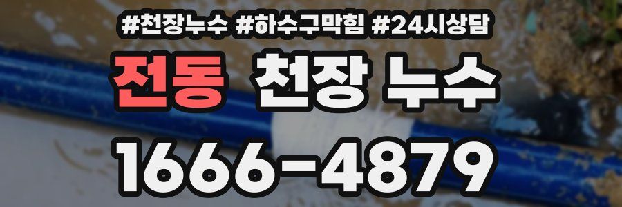 전동 천장 누수