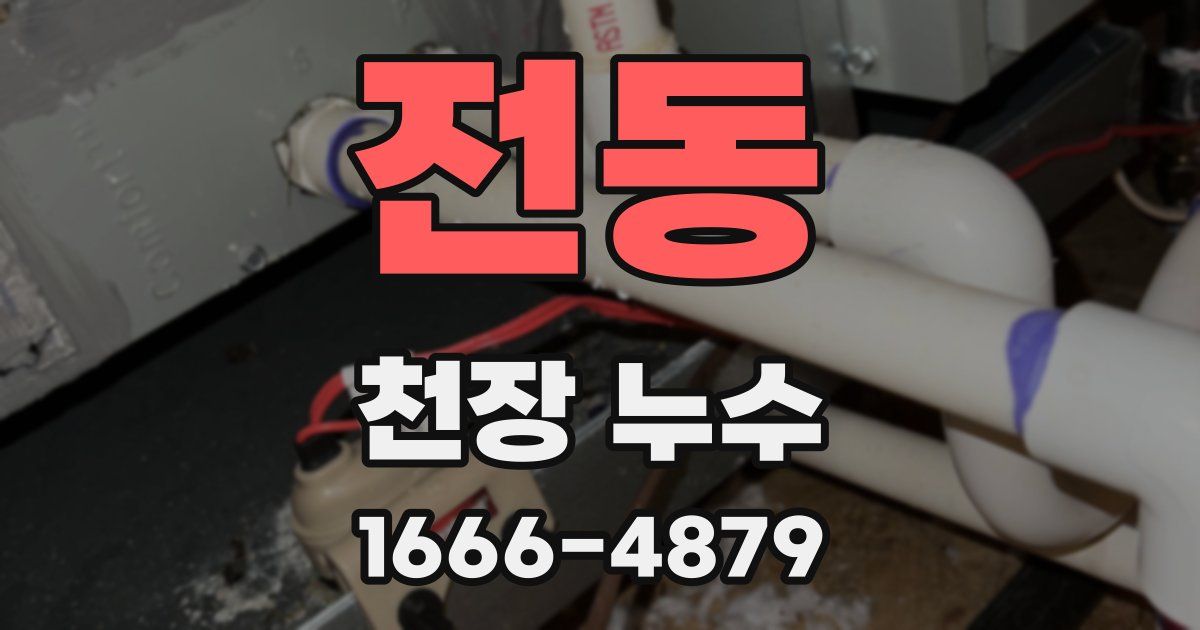 전동 천장 누수