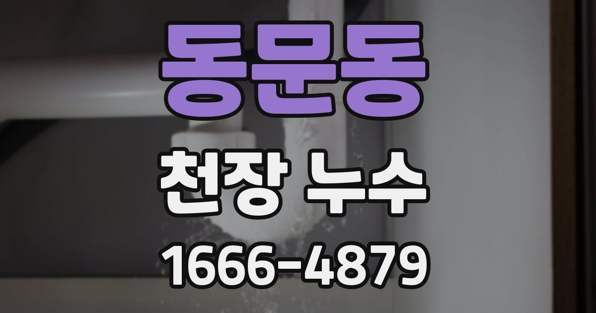 동문동 천장 누수