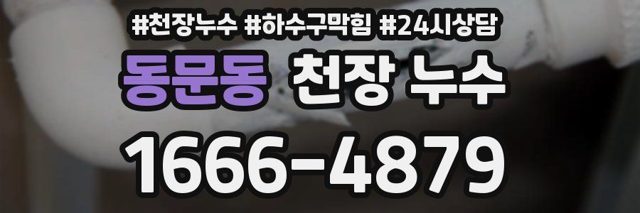 동문동 천장 누수