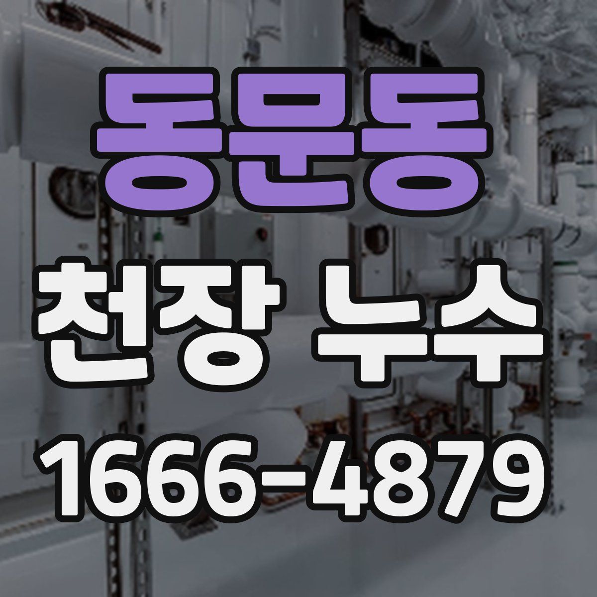 동문동 천장 누수