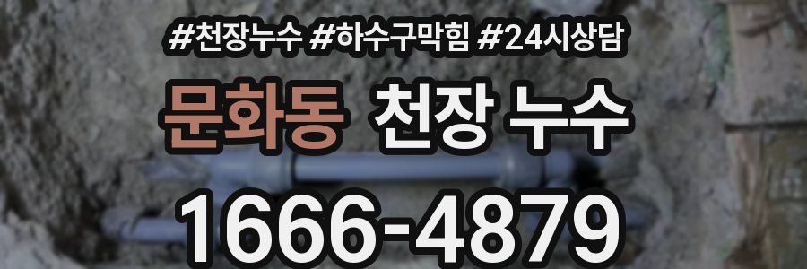 문화동 천장 누수